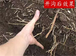 開溝機開溝結果澳门管家婆精准资料期期准